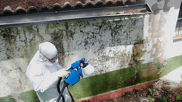 Trusted Commercial Mold Remediation service in Oak Ridge, TN - Cheap Mold Removal